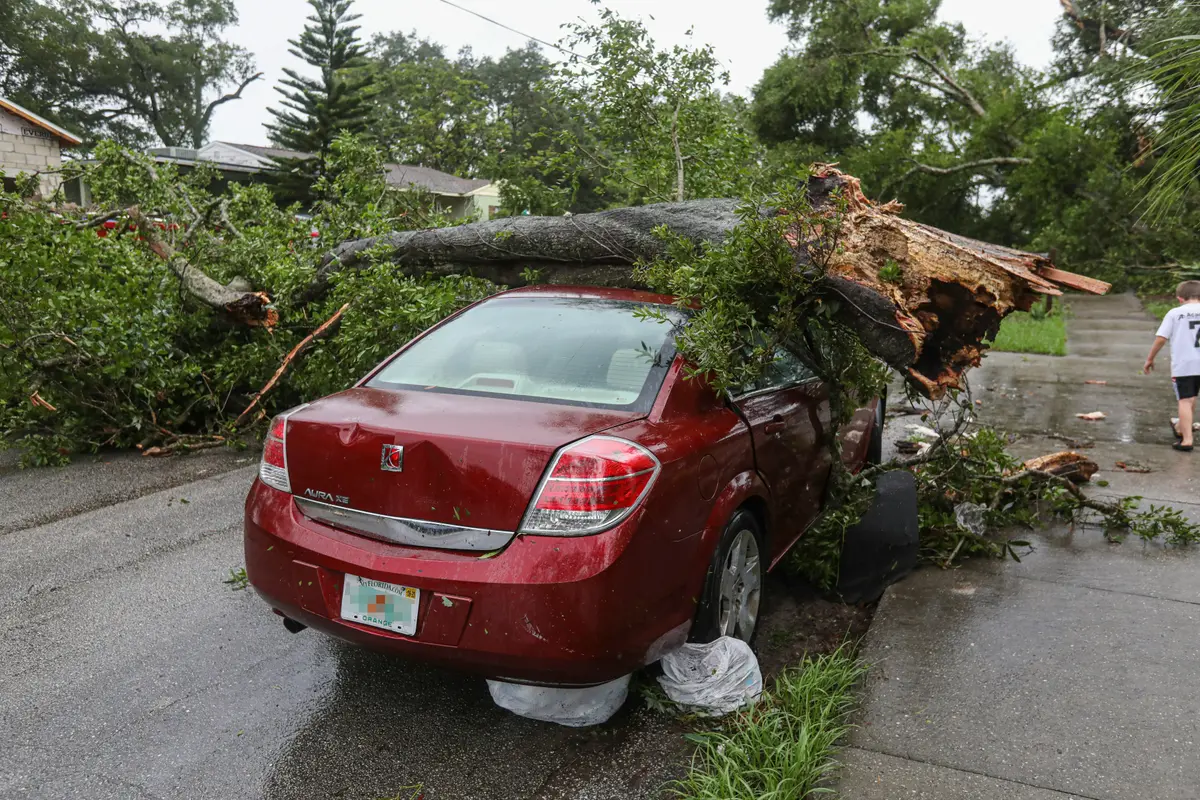 Tree fallen on car during emergency in Polk County FL