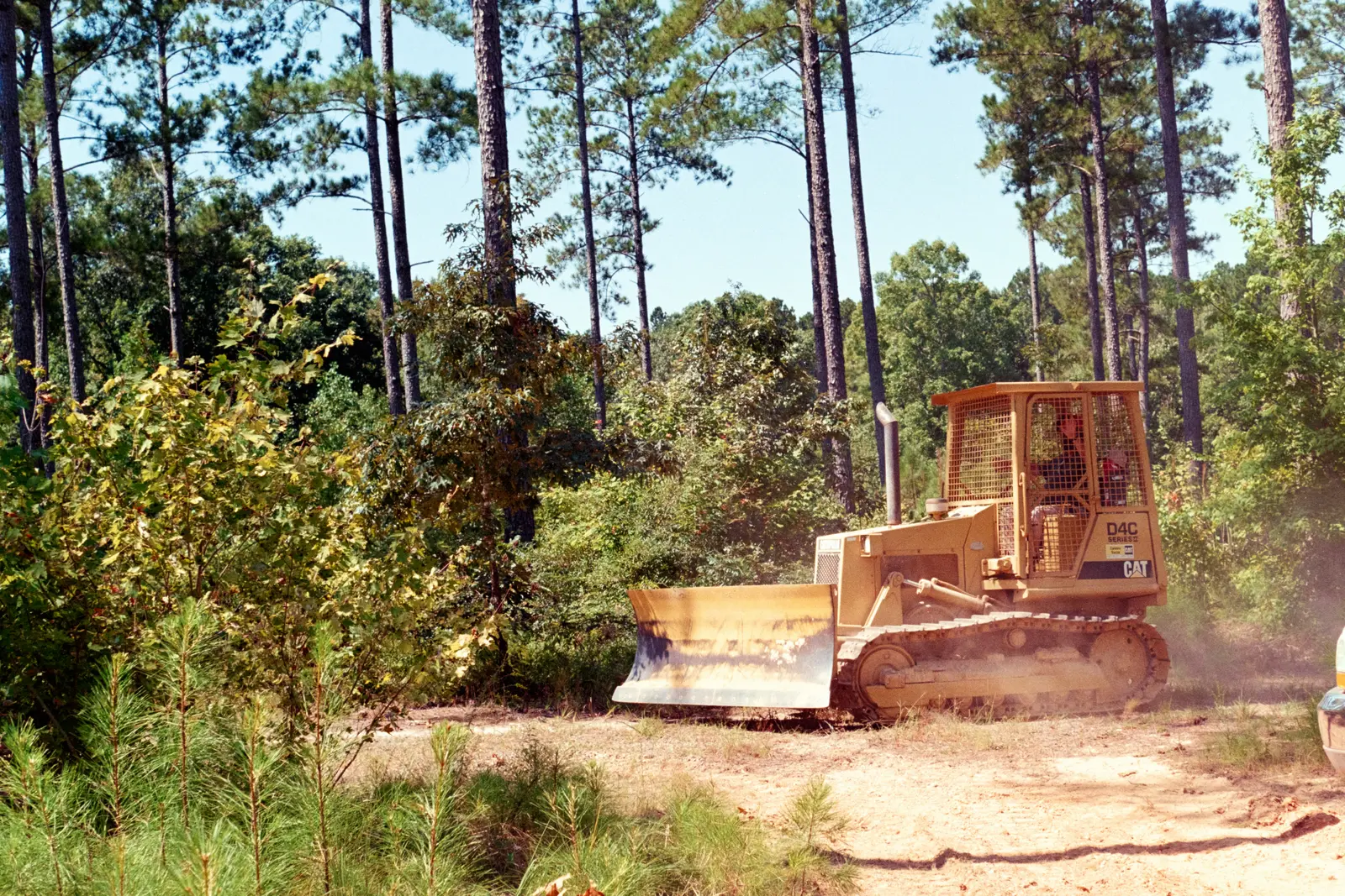 Land clearing service in Bartow FL